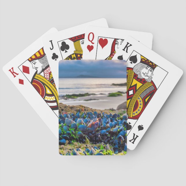 Mussels Playing Cards (Back)