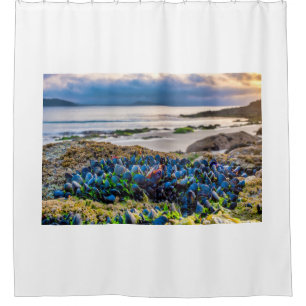 Mussels Shower Curtain