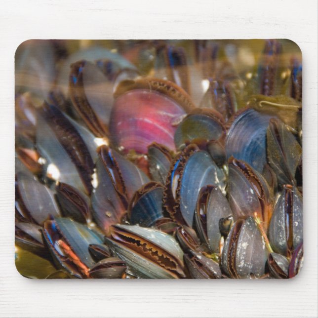 Mussels Under the Ocean Mouse Pad (Front)