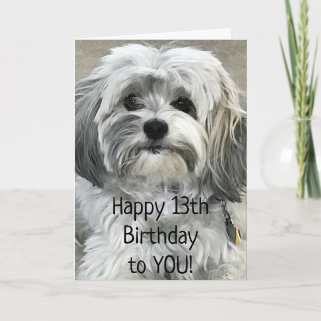 MUST BE GREAT TO BE A TEENAGER  "13th" BIRTHDAY Card (Front)