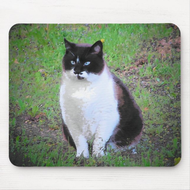 MUSTACHE CAT IS WATCHING MOUSE PAD (Front)