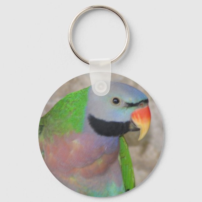 Mustached Parakeet Key Ring (Front)