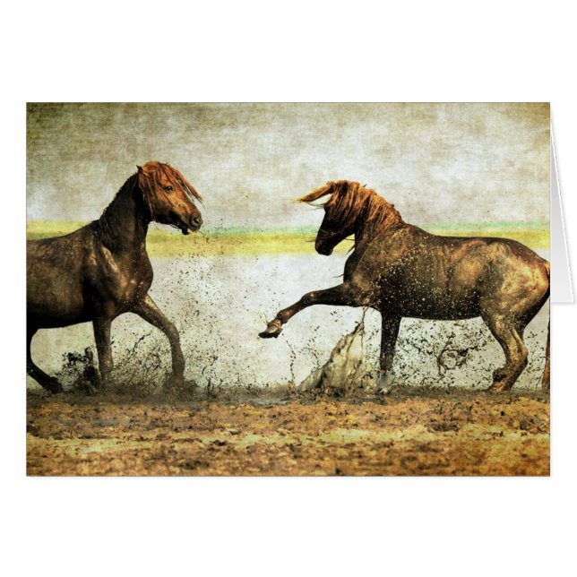 Mustang Battle (Front Horizontal)