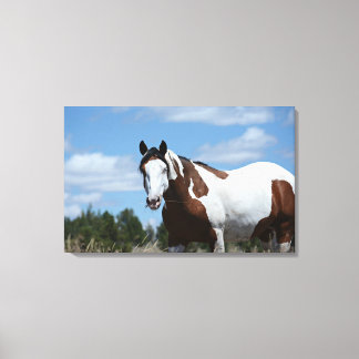 Mustang Custom Canvas Print (30.18"x19.12")1.5",