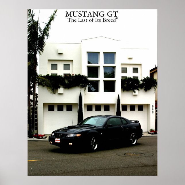 Mustang GT Poster (Front)