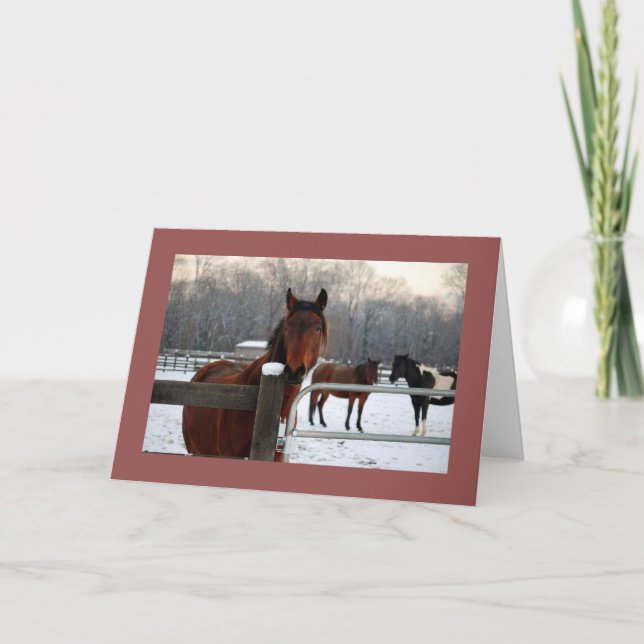 Mustang Holiday Card (Front)