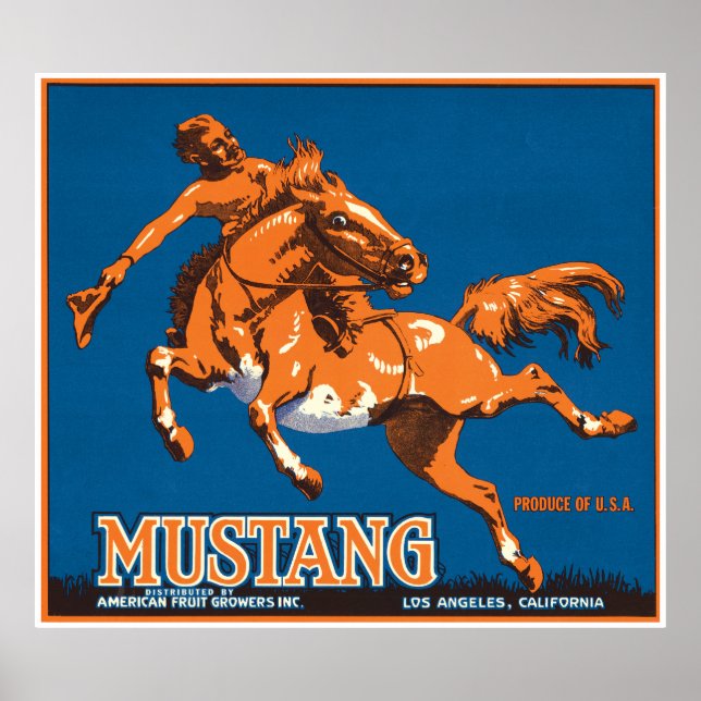 Mustang Horse Cowboy Los Angeles California USA Poster (Front)