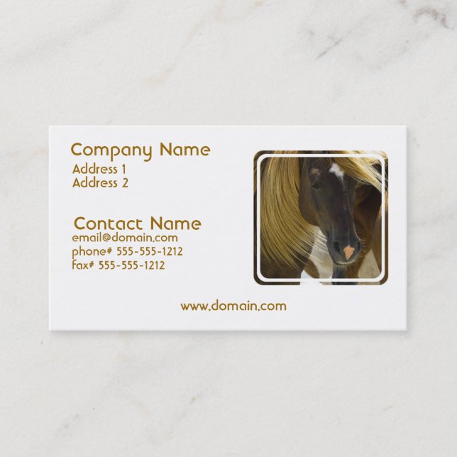Mustang Horse Photo Business Card (Front)