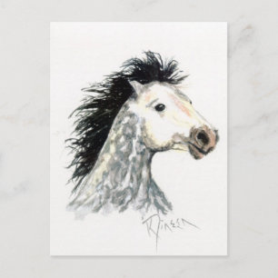 Mustang Horse Postcard