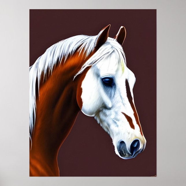 Mustang Horse Poster (Front)
