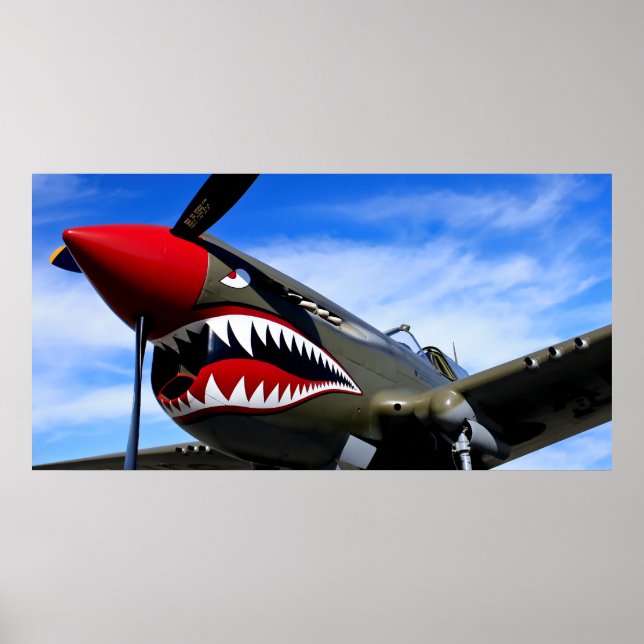 MUSTANG P-51 FIGHTER POSTER (Front)