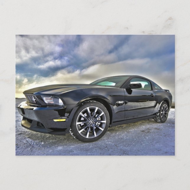 Mustang postcard (Front)