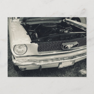 Mustang postcard