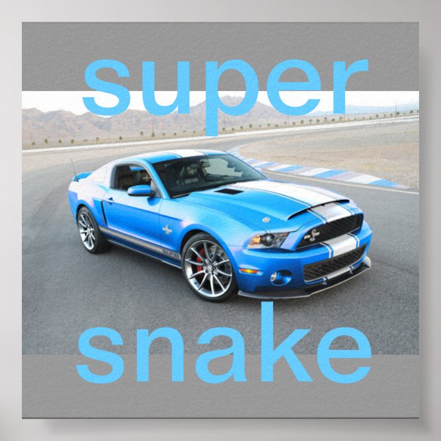 mustang poster (Front)