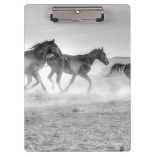Mustang Run Clipboard