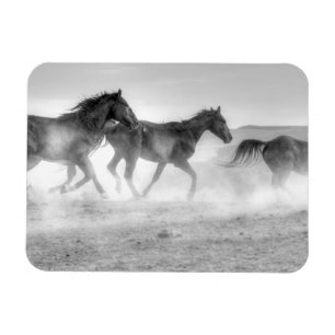 Mustang Run Magnet