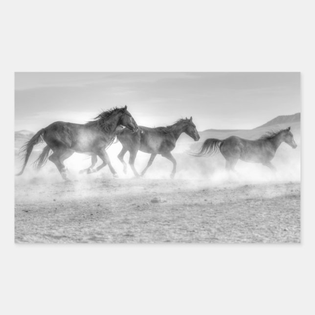 Mustang Run Rectangular Sticker (Front)