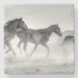 Mustang Run Stone Coaster