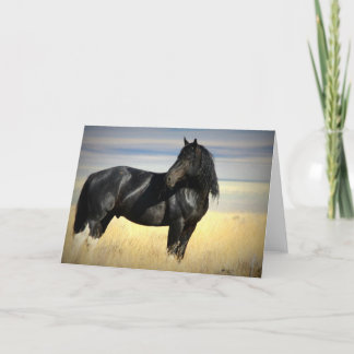 Mustang Stallion greeting card. Card