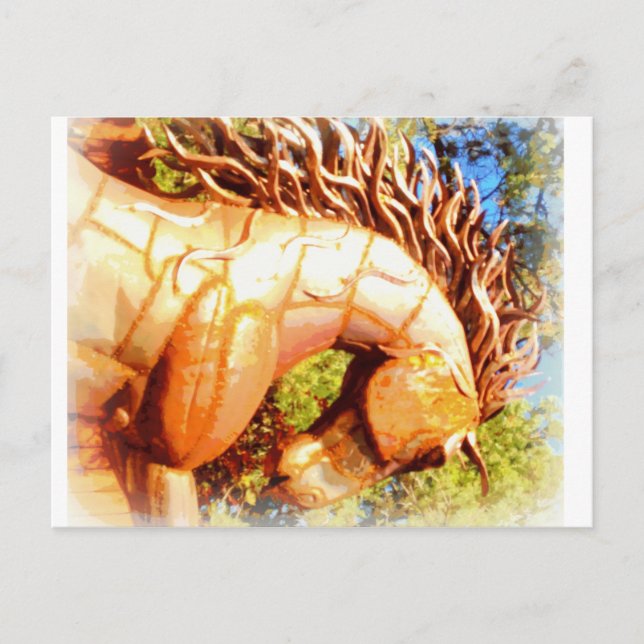 mustang stallion postcard (Front)