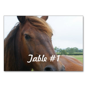Mustang Table Number