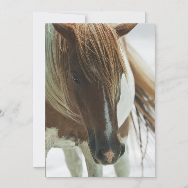 Mustang Wild Horse Invitation (Front)