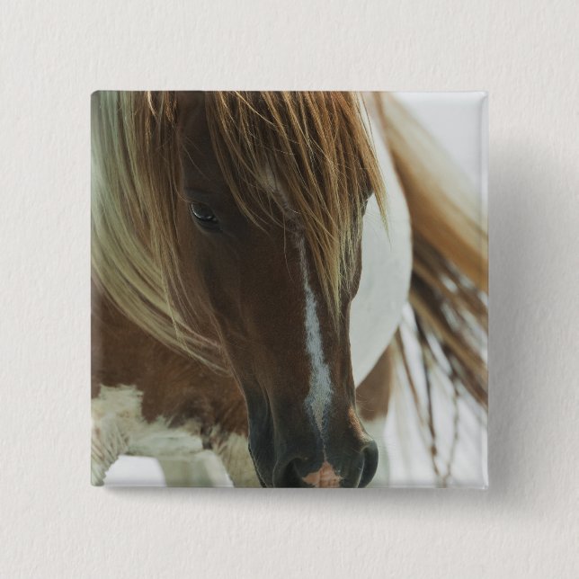 Mustang Wild Horse Square Pin (Front)