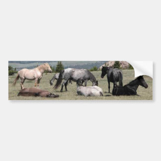 Mustangs Bumper Sticker