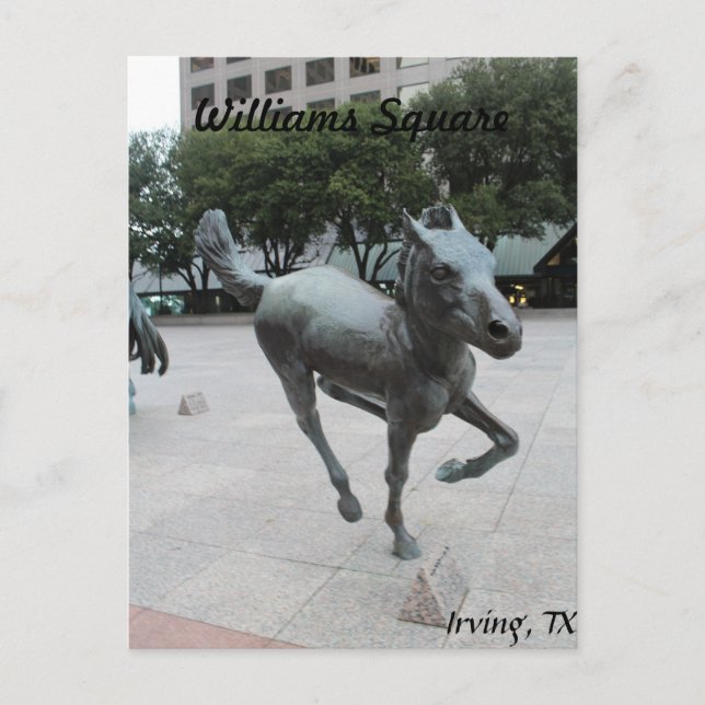 Mustangs of Las Colinas # 11 Postcard (Front)