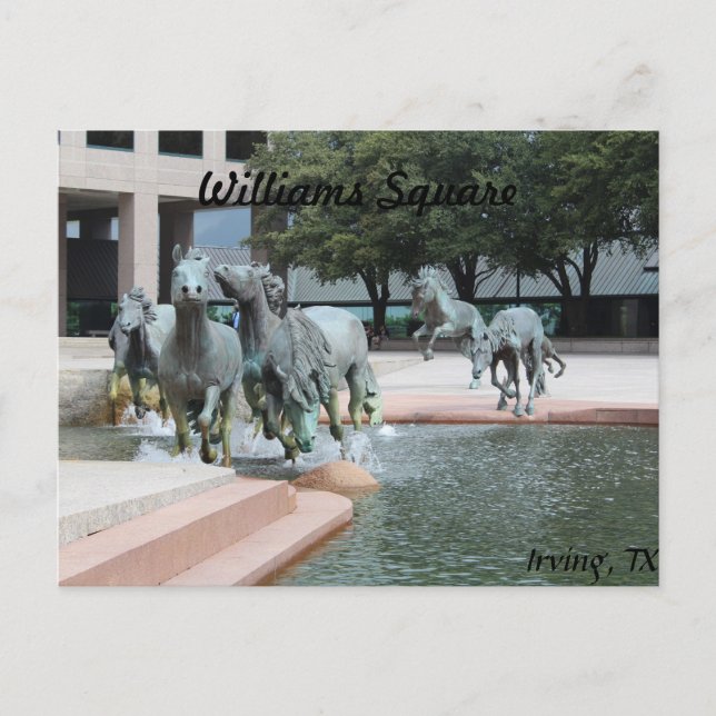 Mustangs of Las Colinas # 12 Postcard (Front)