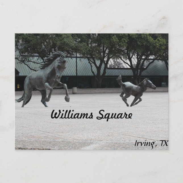Mustangs of Las Colinas # 19 Postcard (Front)