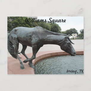 Mustangs of Las Colinas # 1 Postcard