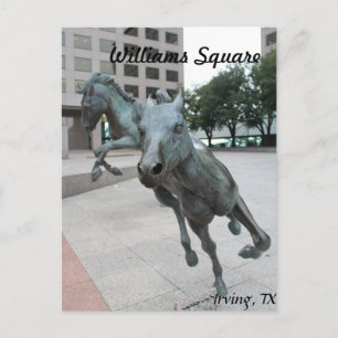 Mustangs of Las Colinas # 29 Postcard