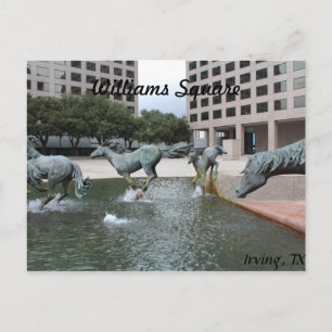 Mustangs of Las Colinas # 3 Postcard