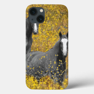 Mustard and Horses iPhone 13 Case