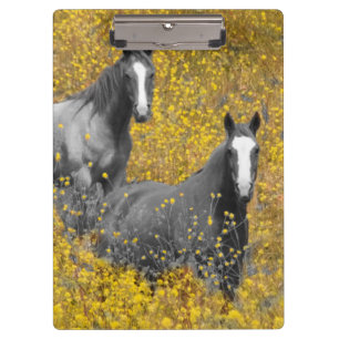 Mustard and Horses Clipboard
