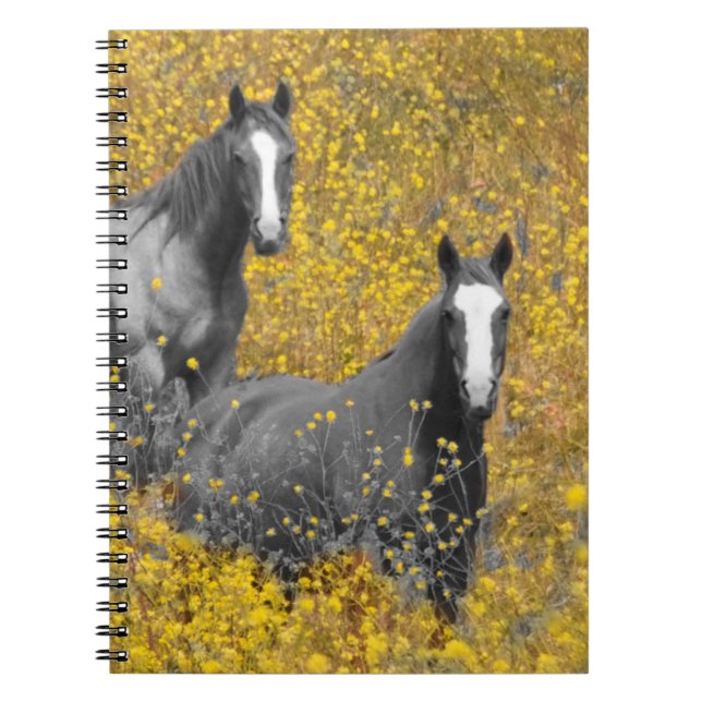 Mustard and Horses Spiral Notebook (Front)