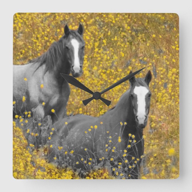 Mustard and Horses Square Wall Clock (Front)