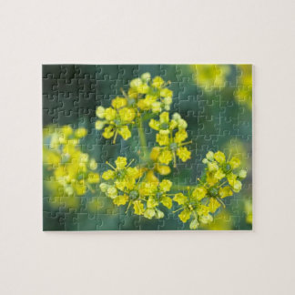 Mustard Flowers, Jigsaw Puzzle, 8x10 in, 110 pc Puzzle