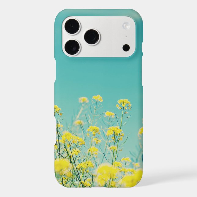 Mustard Flowers Nature  (Back)