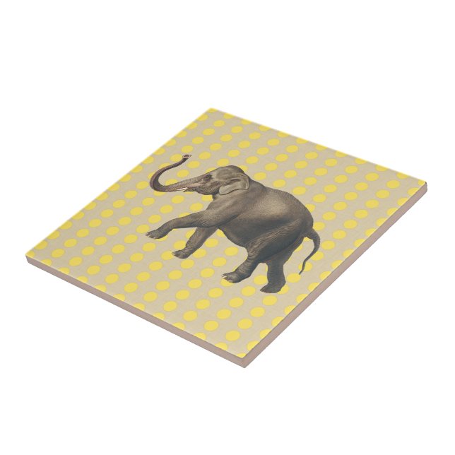 Mustard Spice Moods Dots with Elephant Tile (Side)