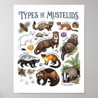 Mustelids Watercolor Woodland Wildlife Art Poster