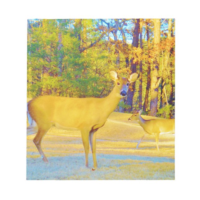 Musturd Coloured Deer with light blue Notepad (Front)