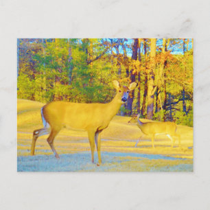 Musturd Coloured Deer with light blue Postcard