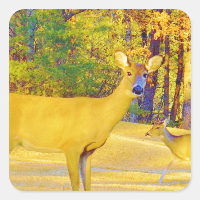 Musturd Coloured Deer with light blue Square Sticker (Front)