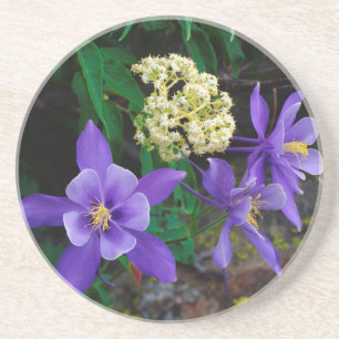 Mutant Columbine Wildflowers Coaster