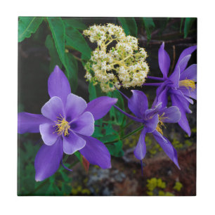 Mutant Columbine Wildflowers Tile