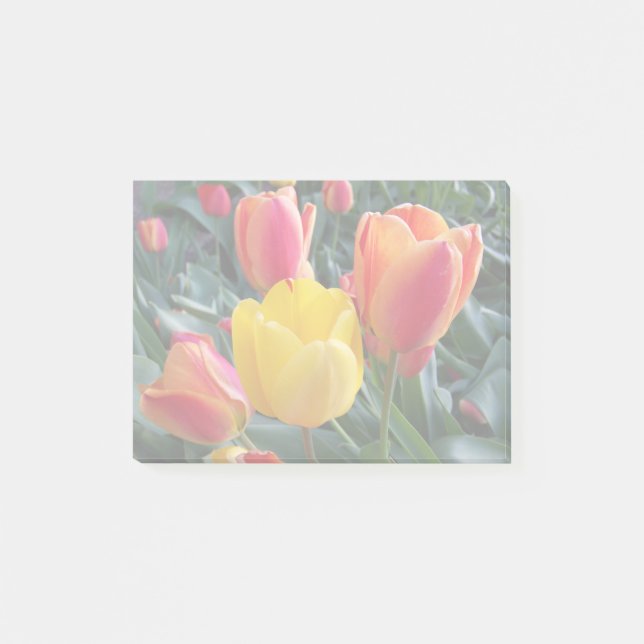 Mute Colours in Your Own Photo Post-it Notes (Front)