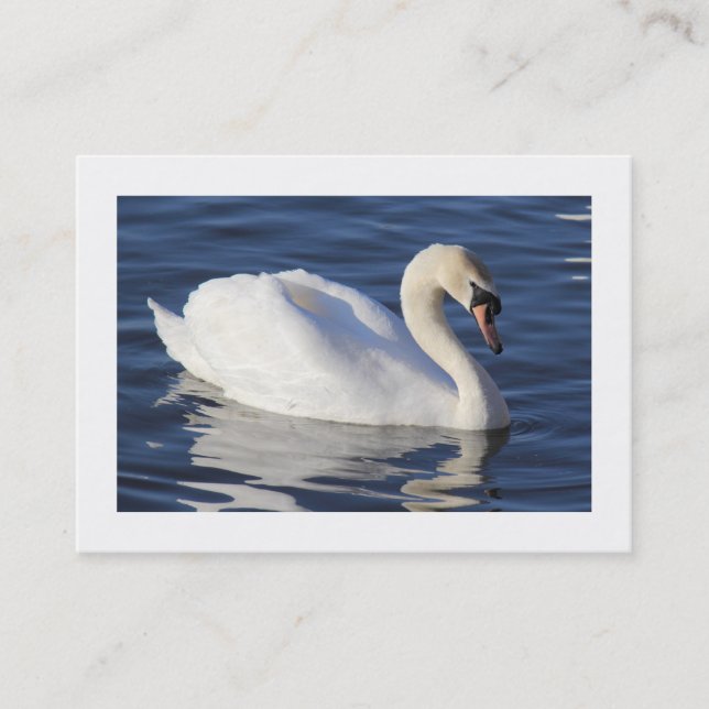 Mute Swan (Bordered) Business Card (Front)