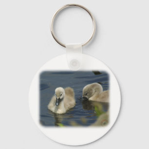 Mute Swan Cygnets 9R054D-114 Key Ring